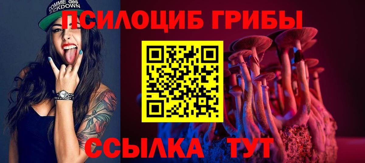 Галлюциногенные грибы MAGIC MUSHROOMS  Вход с VPN  Люберцы 